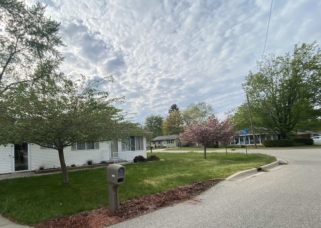 obstructed view of property with a front lawn