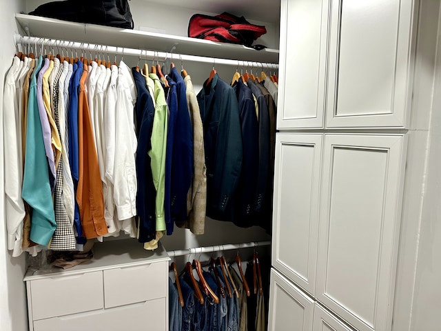 view of closet