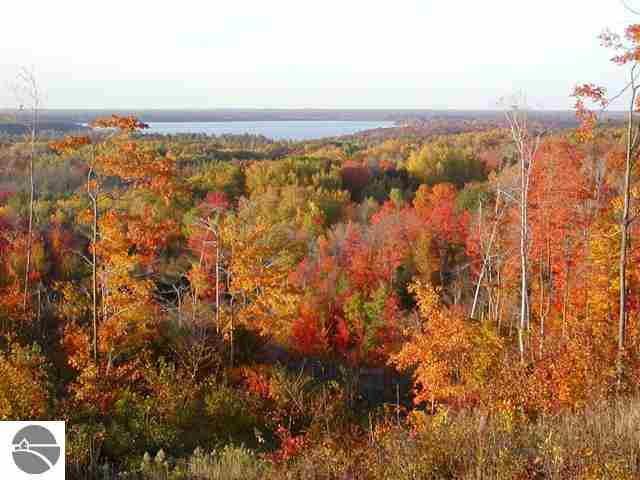 00 Saddle Ridge Dr, Grawn MI, 49637 land for sale