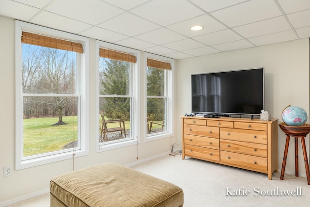 carpeted bedroom with multiple windows, a drop ceiling, and baseboards