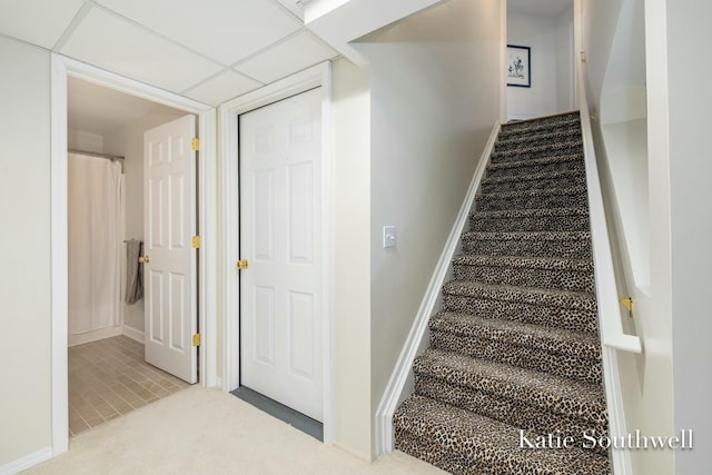 stairs with carpet floors, a drop ceiling, and baseboards