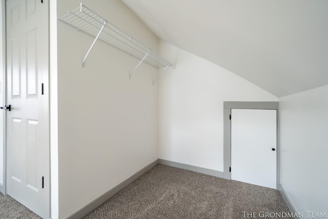 walk in closet featuring vaulted ceiling and carpet floors