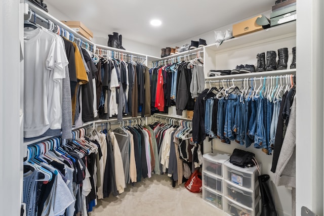 spacious closet featuring carpet