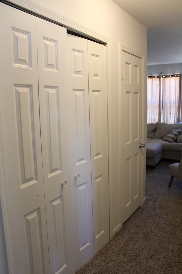 interior space with carpet floors