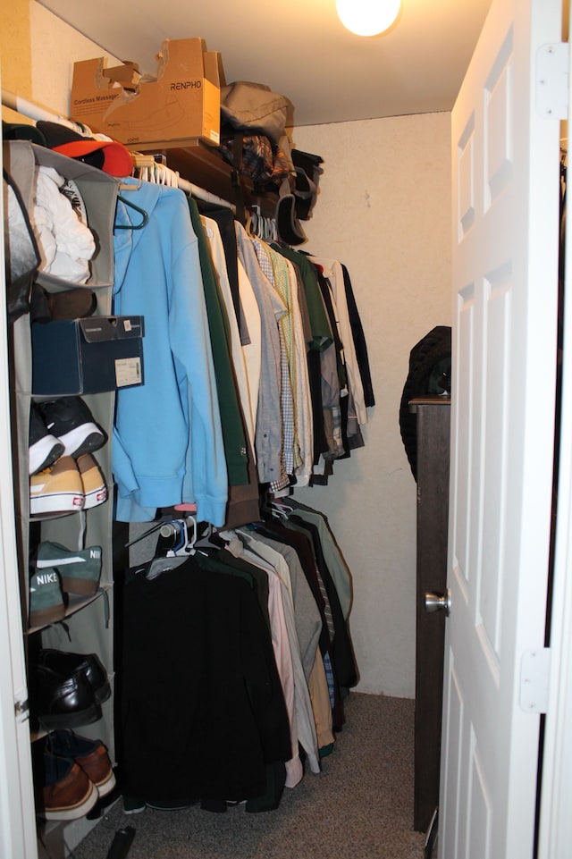 spacious closet featuring carpet