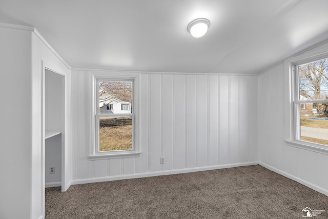 additional living space with a wealth of natural light, lofted ceiling, and carpet