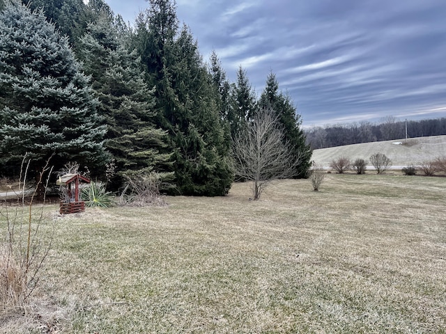 view of yard with a rural view