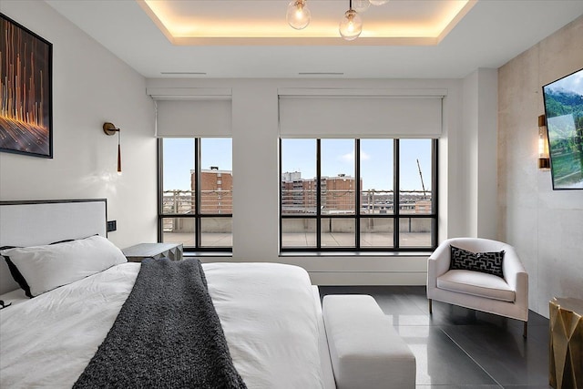 bedroom with a tray ceiling