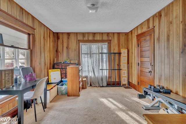 carpeted office space with a textured ceiling, plenty of natural light, and wooden walls