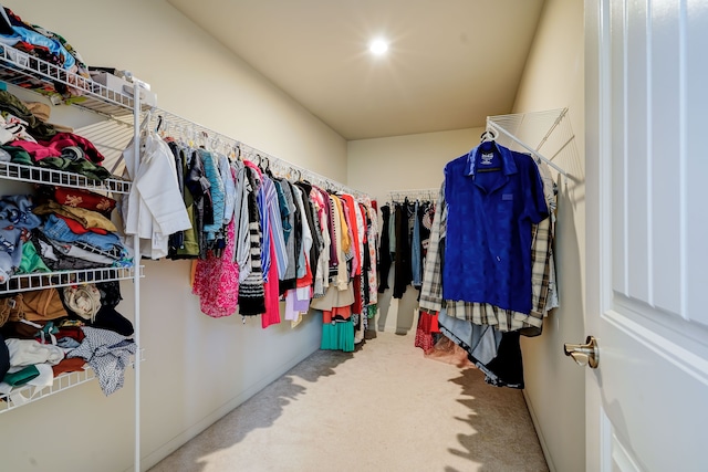 walk in closet with carpet floors