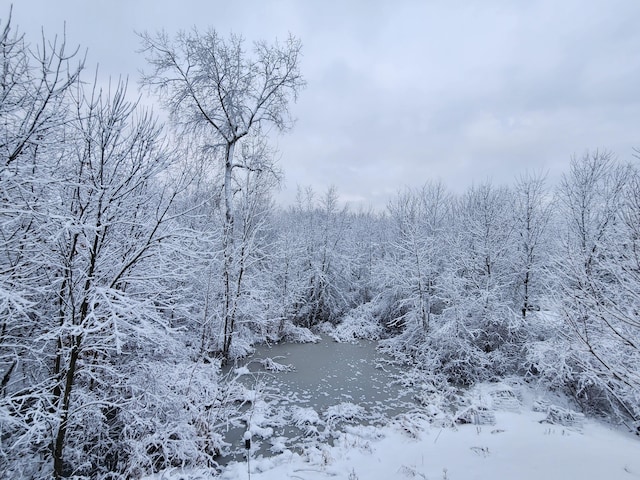 view of landscape featuring a wooded view