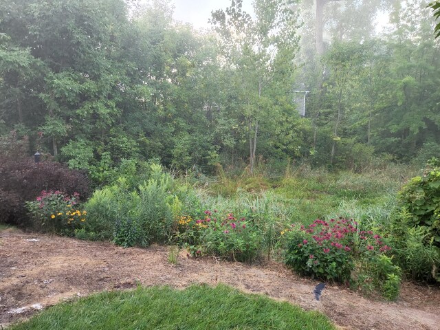 view of nature featuring a view of trees