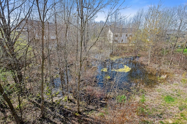 view of nature