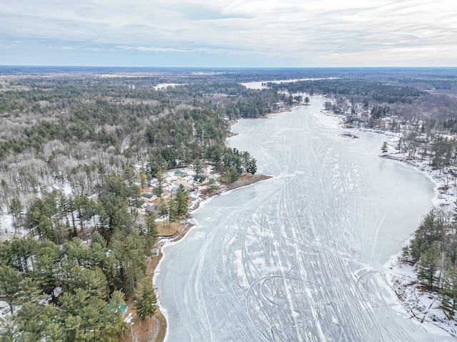 birds eye view of property featuring a forest view