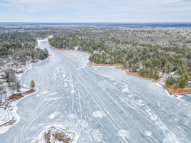 aerial view with a view of trees