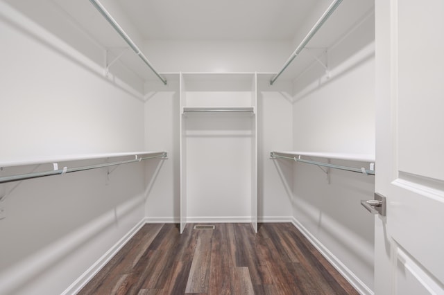 spacious closet featuring dark wood-type flooring