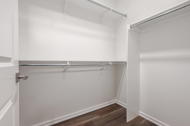 spacious closet with dark wood-type flooring