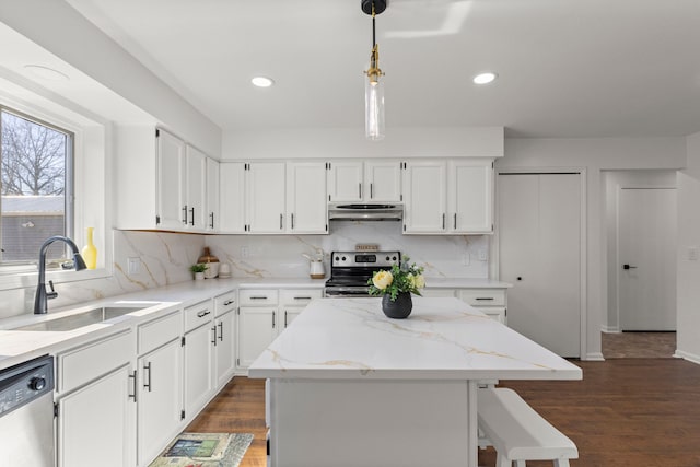 kitchen featuring dark wood-style floors, a sink, stainless steel appliances, under cabinet range hood, and white cabinetry