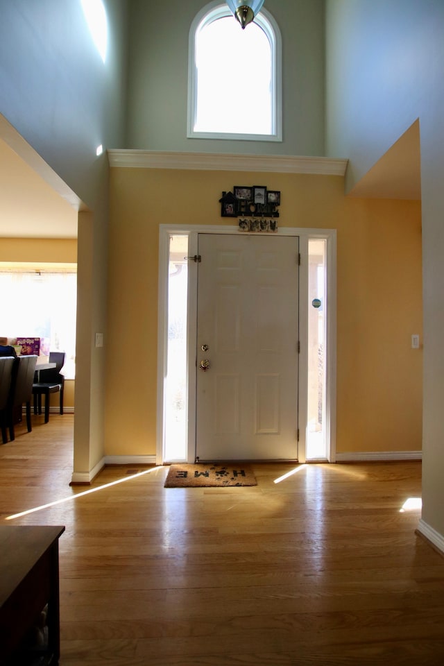 entryway featuring wood finished floors, baseboards, and a towering ceiling