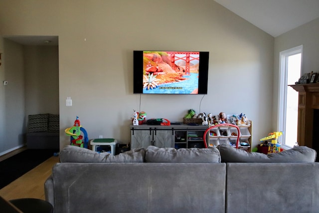 living room featuring vaulted ceiling and wood finished floors