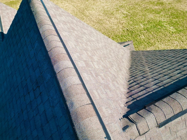 details with roof with shingles