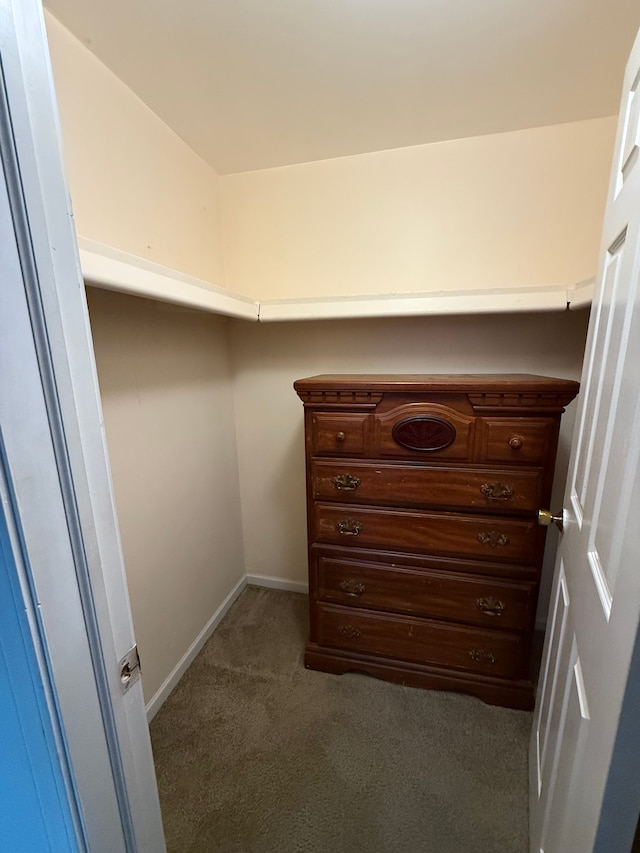 spacious closet featuring carpet flooring