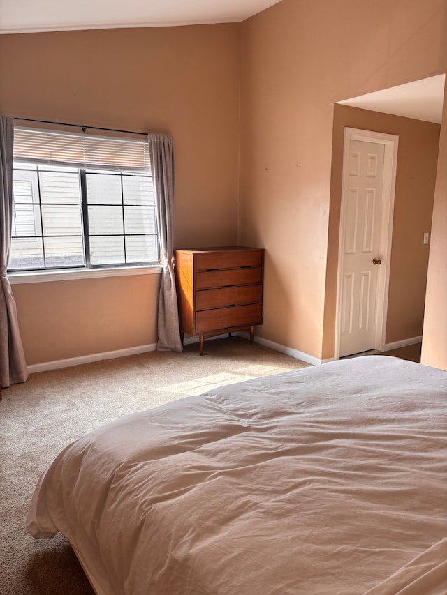 unfurnished bedroom with baseboards and carpet flooring