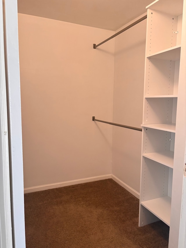 walk in closet with dark carpet