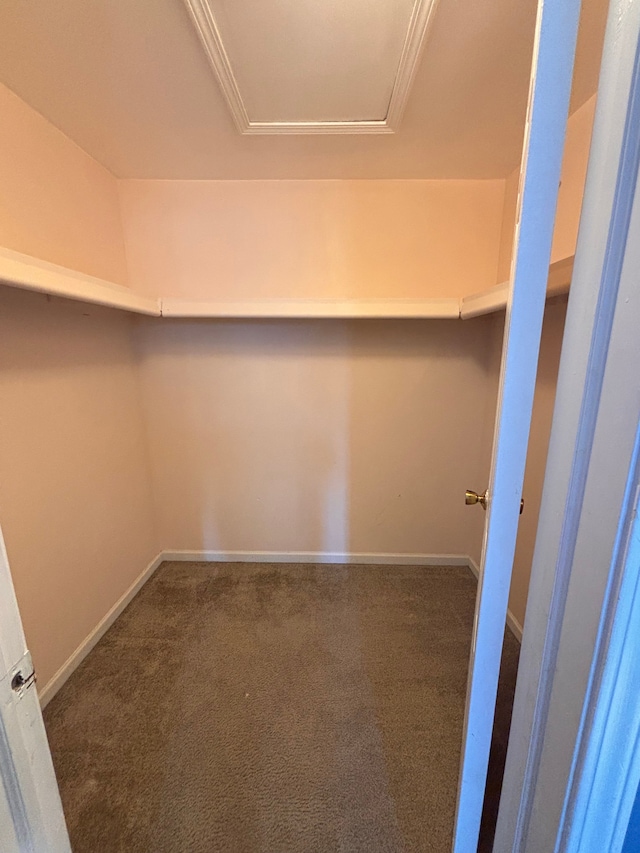 walk in closet with carpet