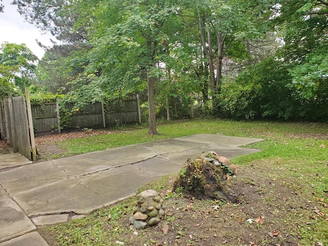 view of yard with a patio area and fence