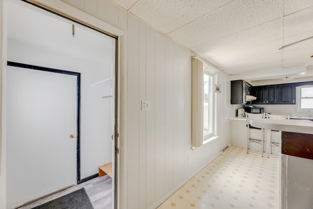 kitchen featuring a paneled ceiling, a sink, wooden walls, and light floors