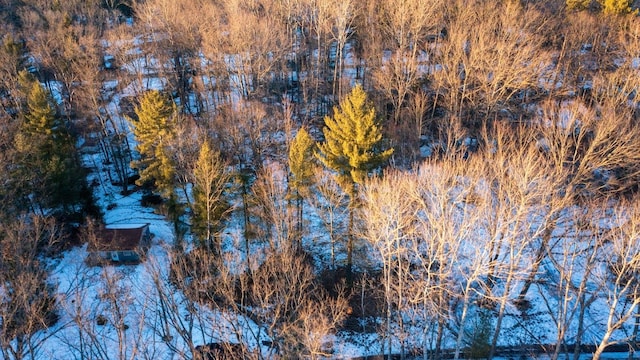 ML-AS98 Larry Dr, Prescott MI, 48756 land for sale