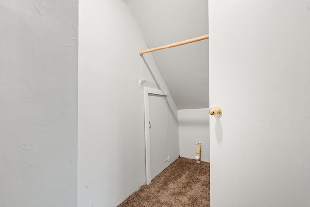 stairway with carpet flooring