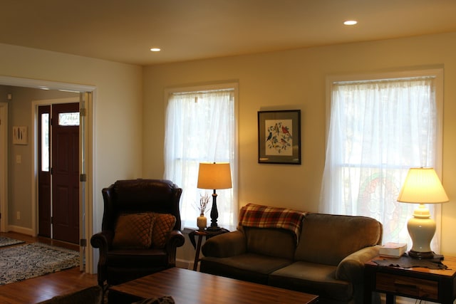 living area featuring recessed lighting and wood finished floors