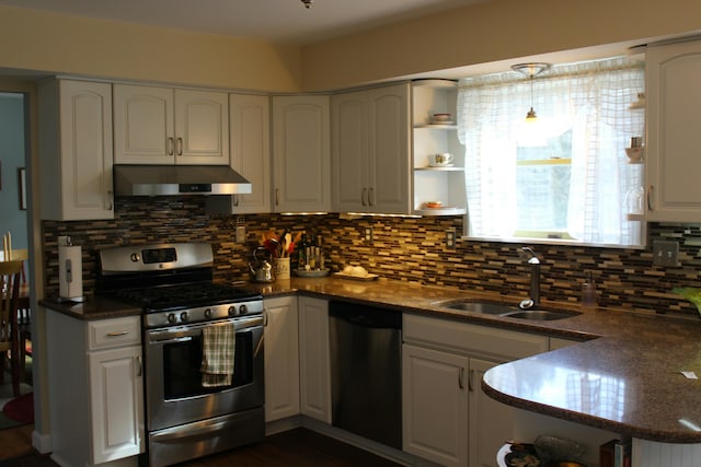 kitchen with a sink, open shelves, under cabinet range hood, and stainless steel appliances