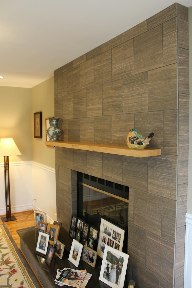 details featuring wood finished floors, wainscoting, and a tile fireplace