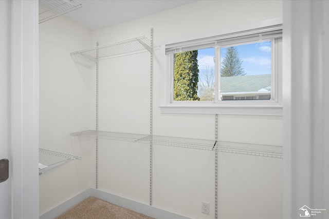 view of spacious closet