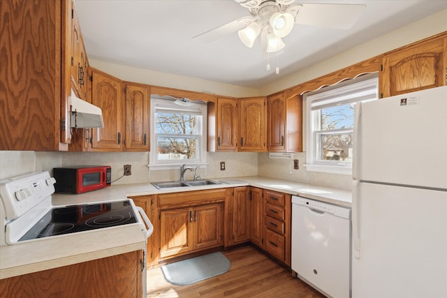 kitchen with white appliances, a sink, light countertops, under cabinet range hood, and brown cabinets