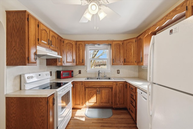 kitchen with white appliances, brown cabinetry, a sink, under cabinet range hood, and light wood-type flooring