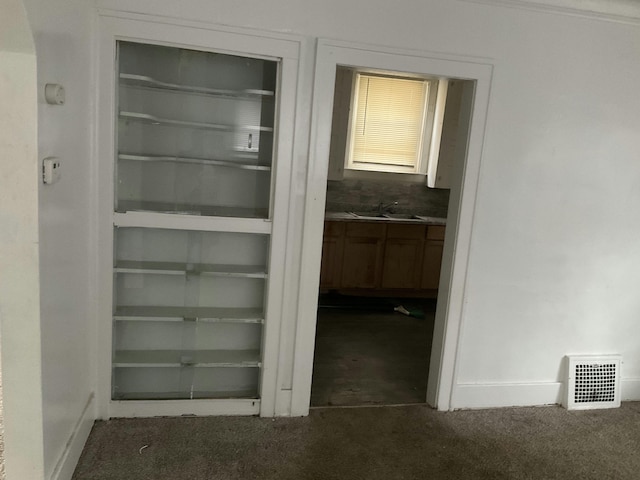 pantry featuring a sink and visible vents