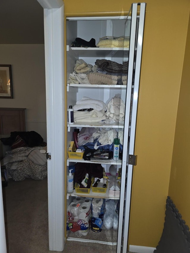 view of closet