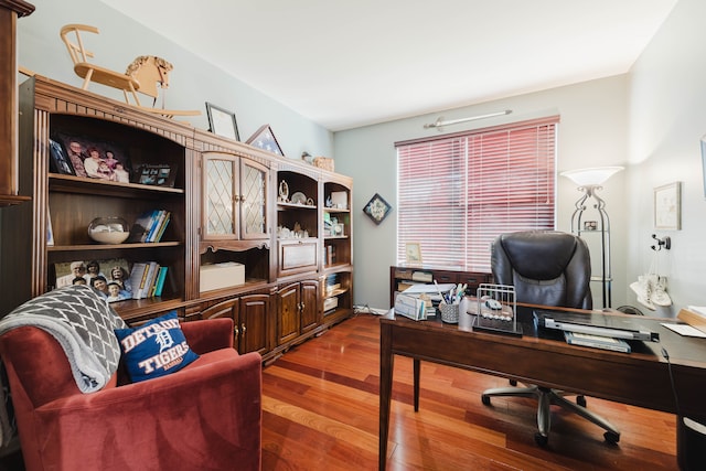 office area featuring wood finished floors