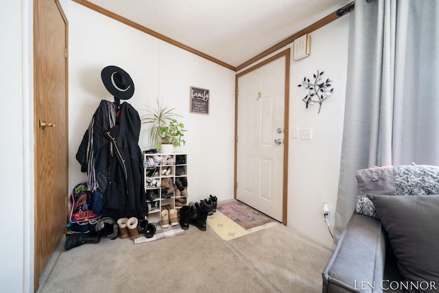 interior space with crown molding, a textured ceiling, and carpet flooring