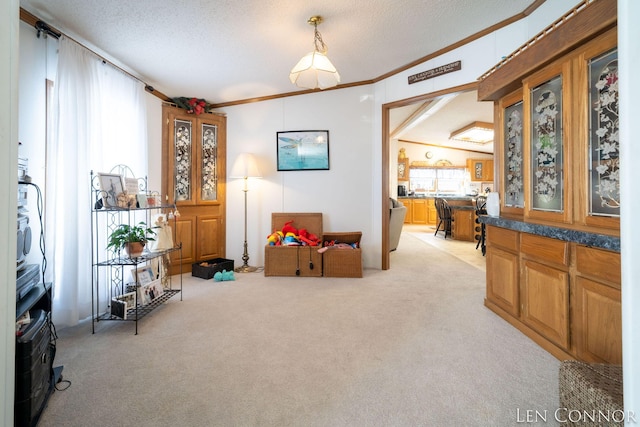 rec room featuring light carpet, ornamental molding, and a textured ceiling