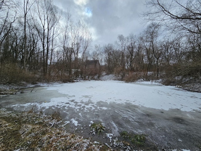 view of snowy yard