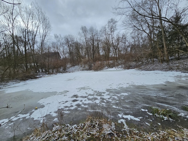 view of yard covered in snow