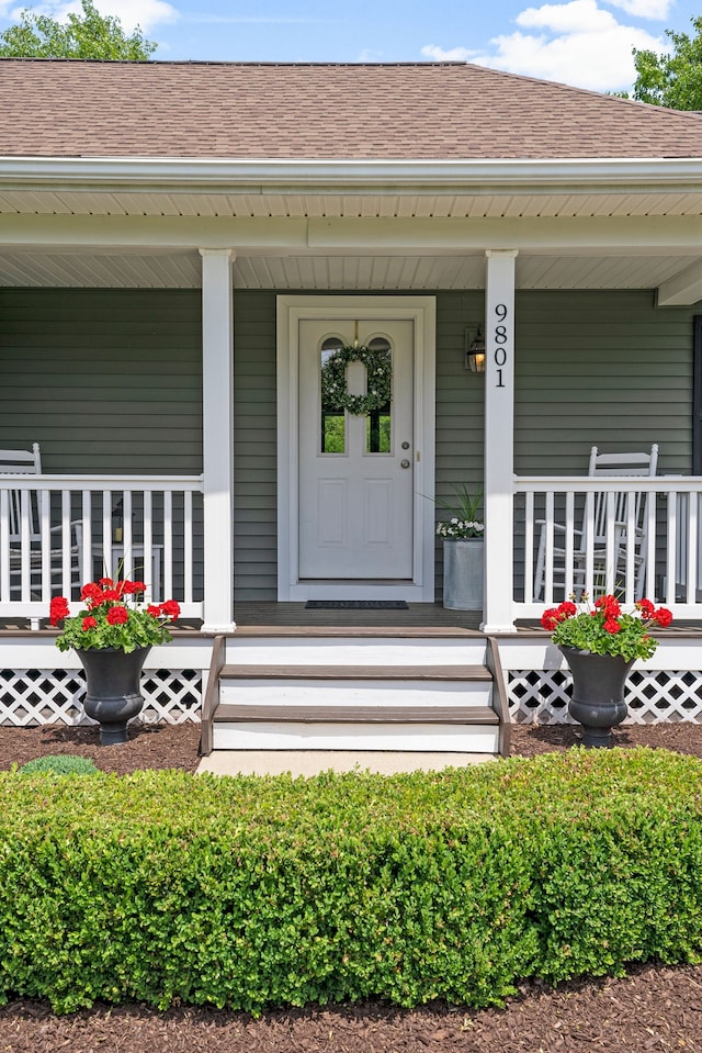 doorway to property with a porch and roof with shingles