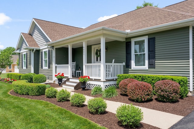 entrance to property featuring a yard, roof with shingles, and covered porch