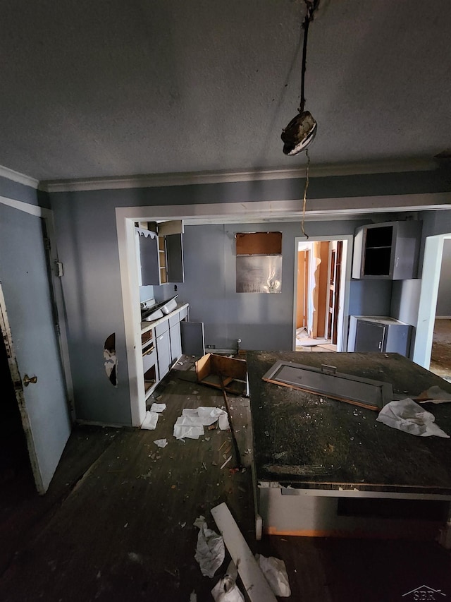 kitchen with ornamental molding and a textured ceiling