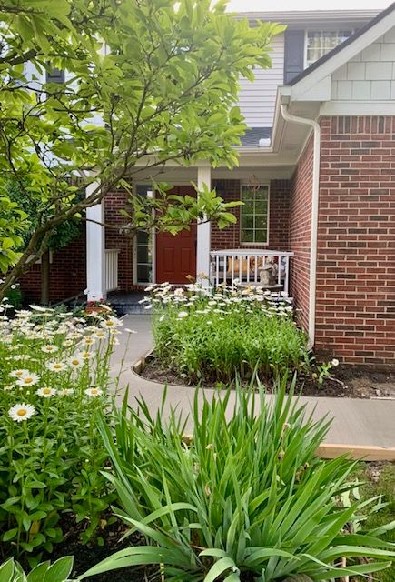 doorway to property featuring a porch and brick siding